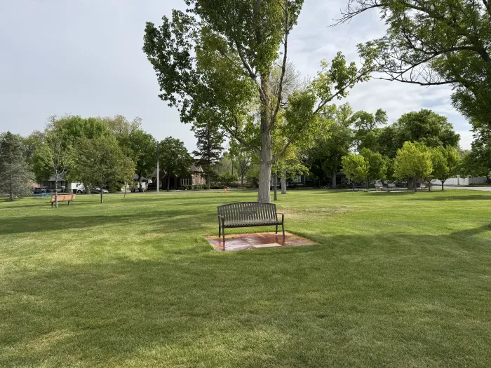 A lone bench on a small pad in the middle of a park lawn.